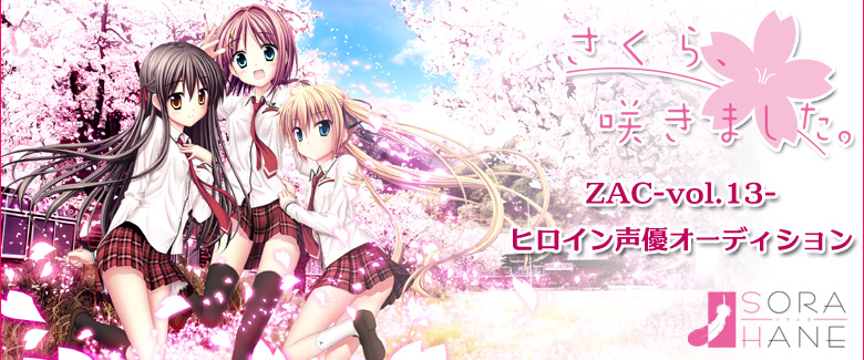 ZAC-vol.13-